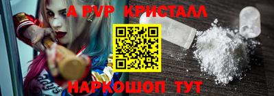 соль ск Кингисепп