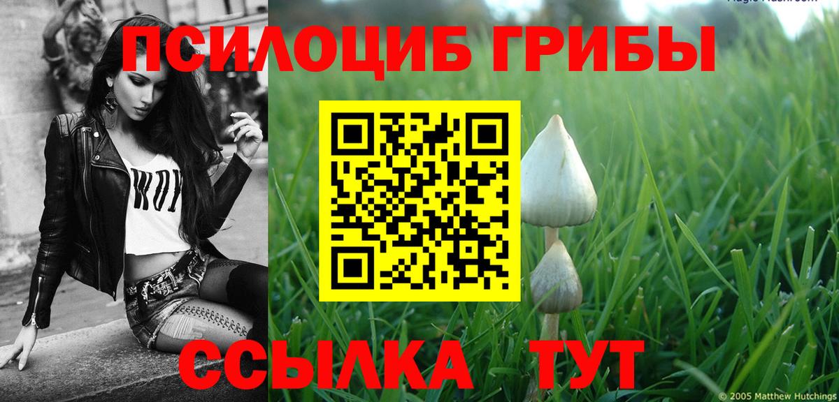 Псилоцибиновые грибы Psilocybine cubensis  Галлюциногенные грибы MAGIC MUSHROOMS  Вход с VPN  Лениногорск 