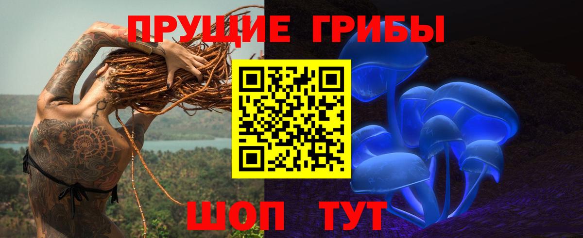 Галлюциногенные грибы Cubensis Лениногорск